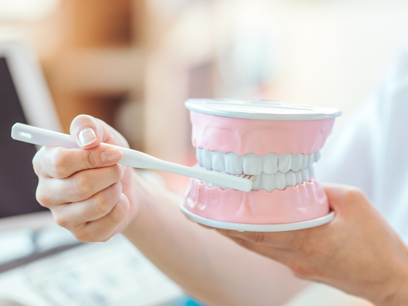 どんなことをしてもらえるの?